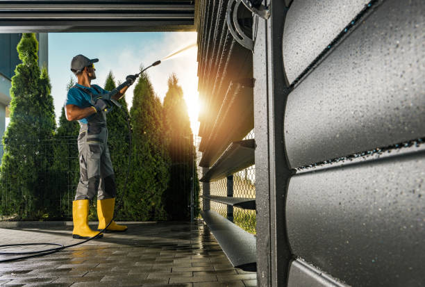 Animal Enclosure Cleaning in Belle Chasse, LA